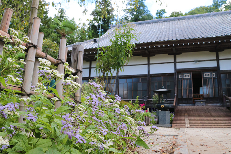 秋の七草寺めぐり